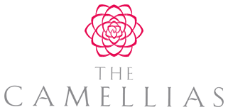 DLF The Camellias